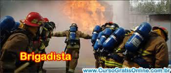 Curso de Brigadista: O que \u00e9, o que faz, quanto ganha? - CURSOS GRATUITOS